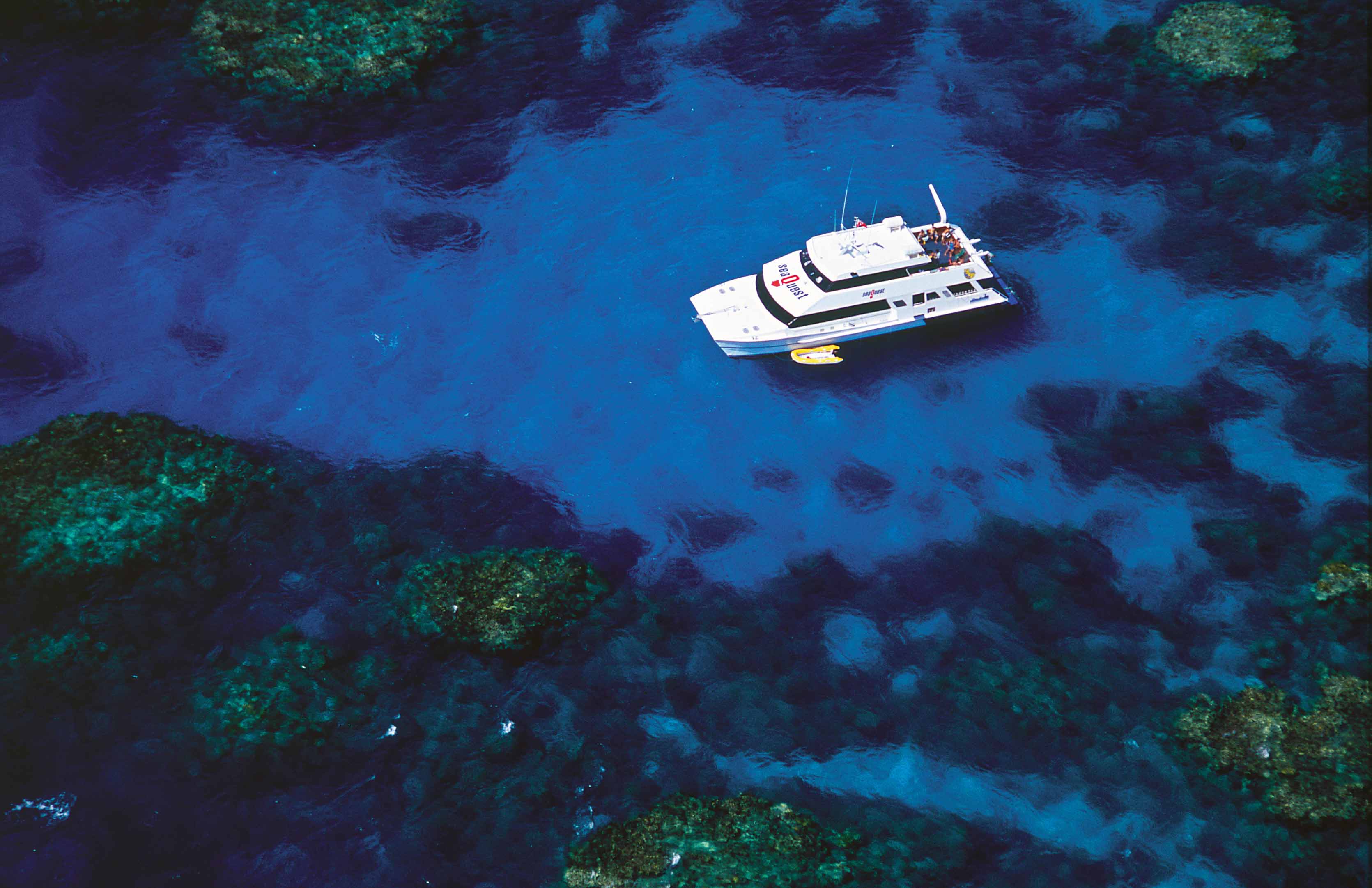 Great Barrier Reef Tours
